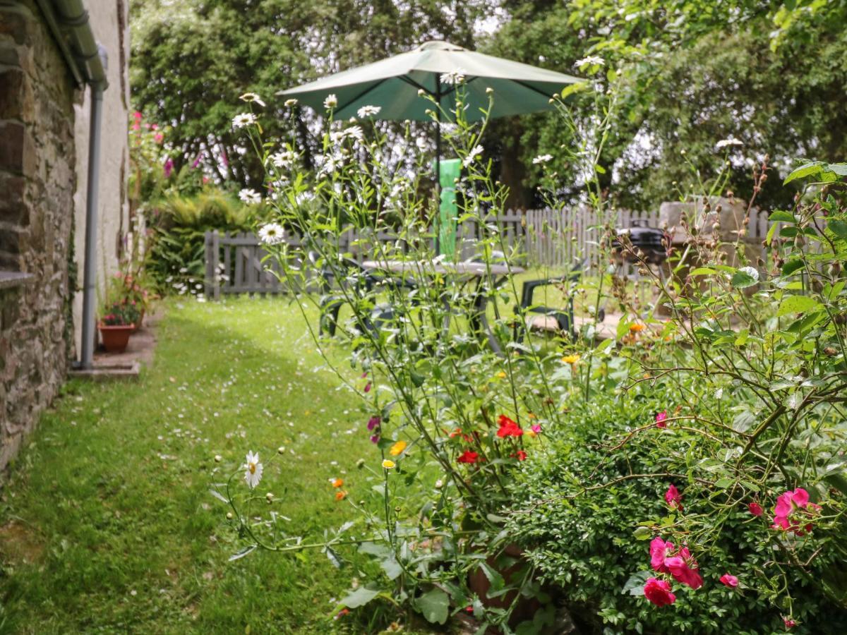 Badger Cottage Mawgan 外观 照片