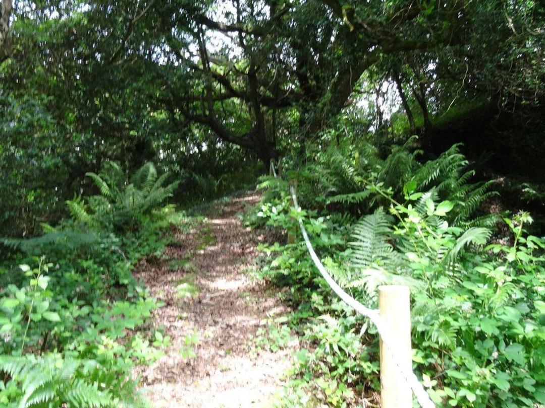 Badger Cottage Mawgan 外观 照片