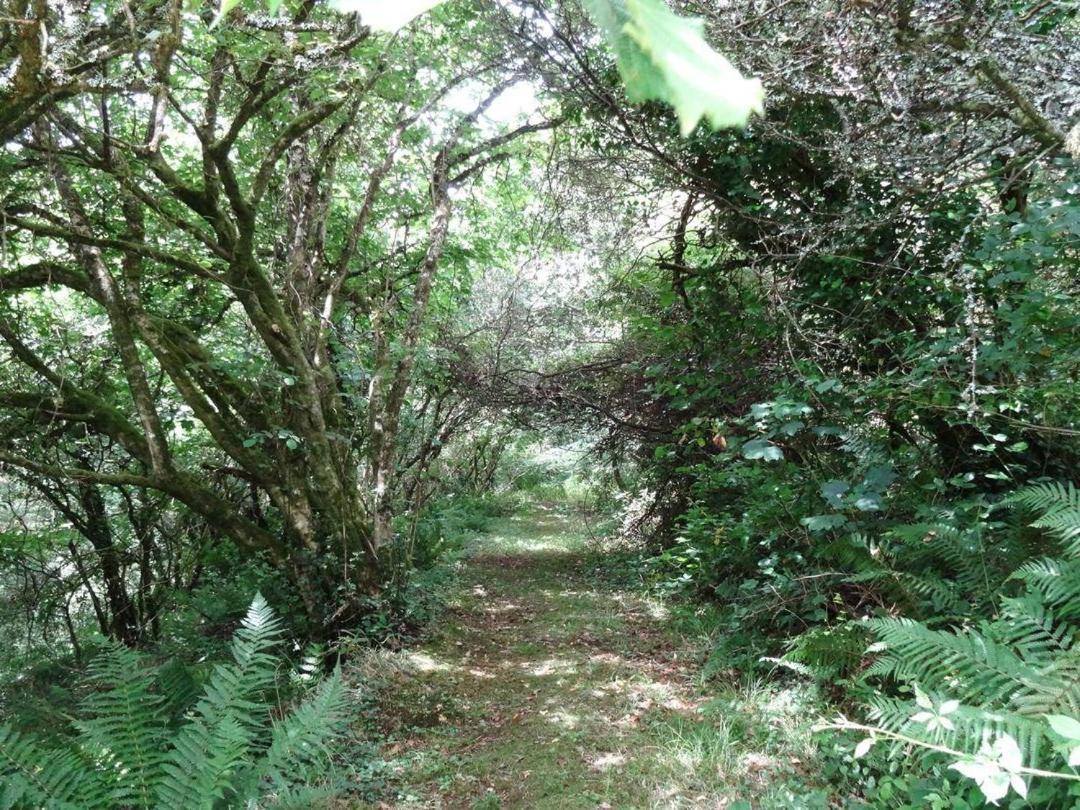 Badger Cottage Mawgan 外观 照片