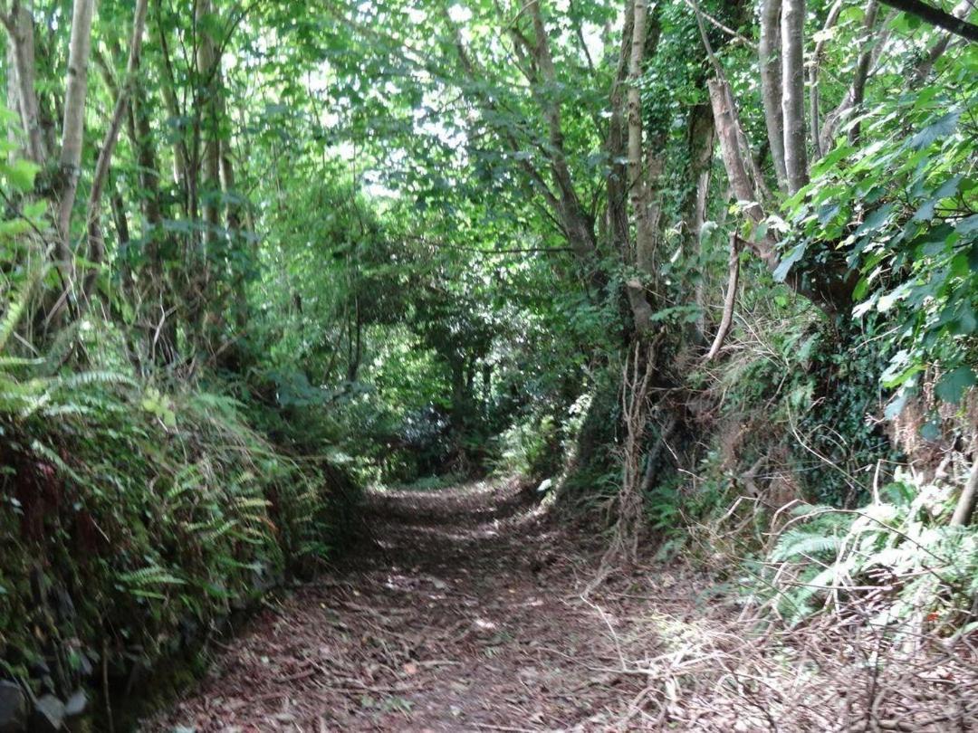 Badger Cottage Mawgan 外观 照片
